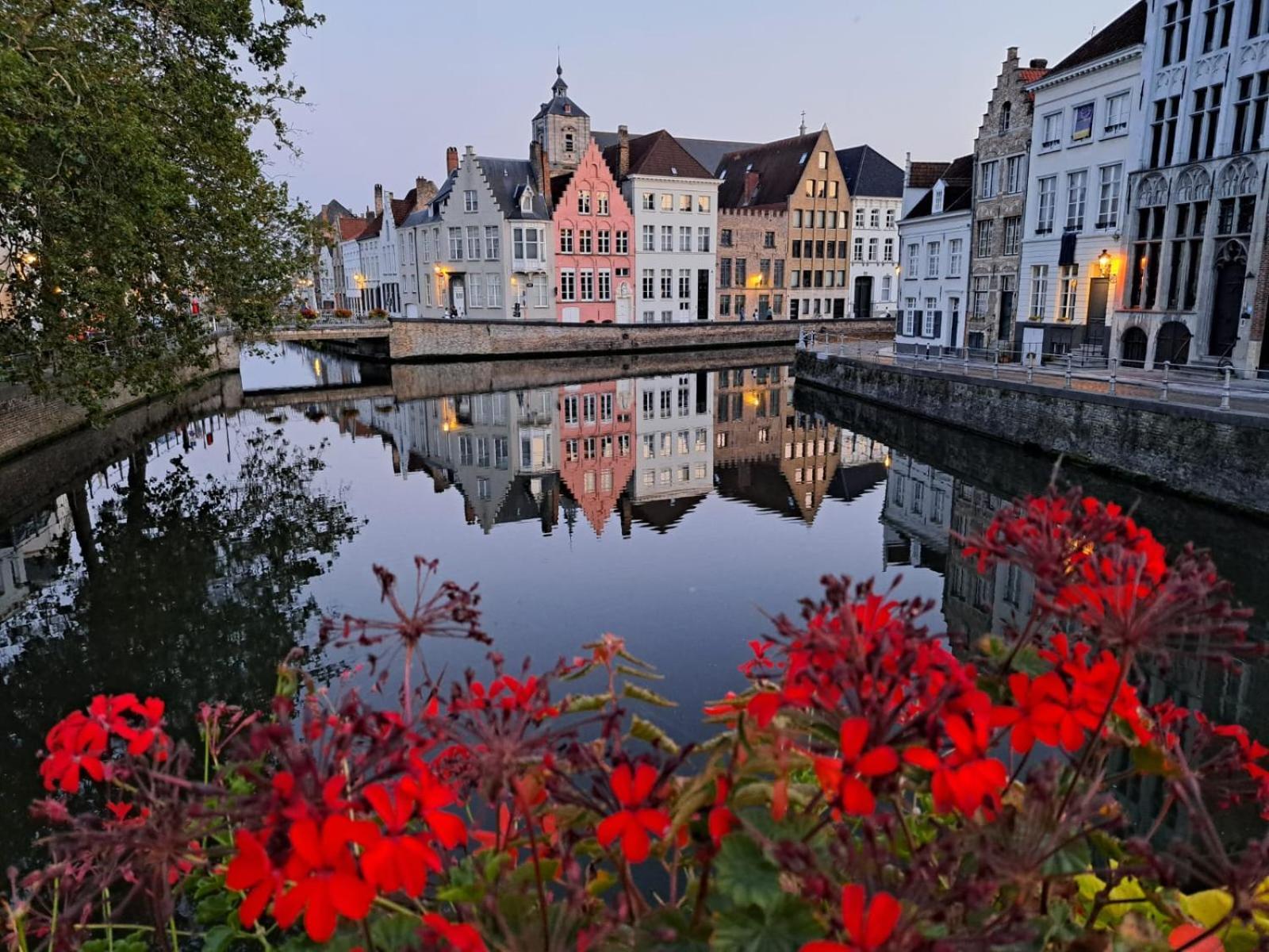 Couette-café Butterfly Bruges